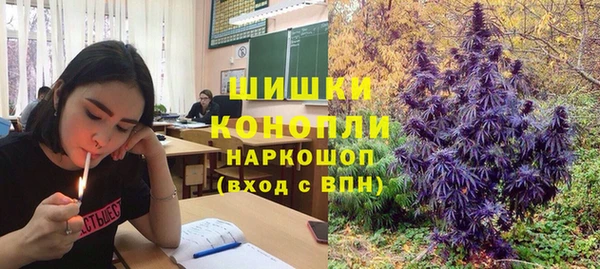 молекула духа Ельня