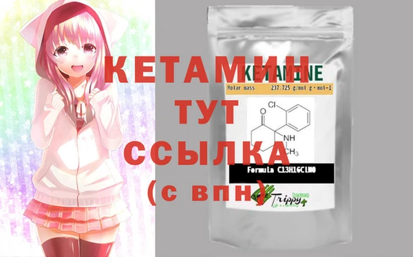 молекула духа Ельня