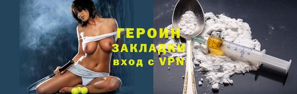 молекула духа Ельня