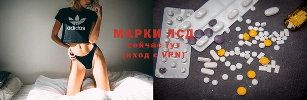 молекула духа Ельня