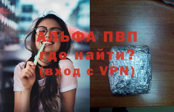молекула духа Ельня