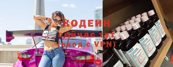 молекула духа Ельня