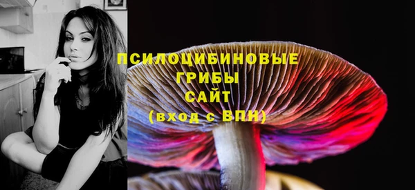 MESCALINE Елабуга