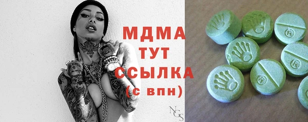 молекула духа Ельня