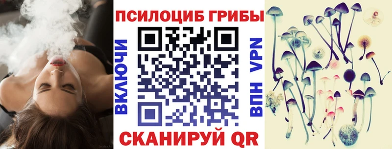 Псилоцибиновые грибы мицелий  Купить  Шиханы 